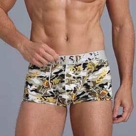 Men's Comfortable soft ice silk man underwear multi-color underpants sports shorts panties