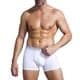 Men's boxer briefs,95% Cotton 5% Elastane men's Brief Wholesale Male Boxer - 缩略图 3