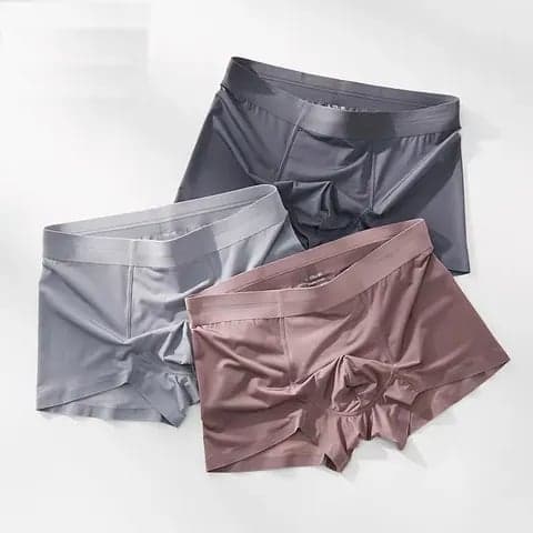 Men's 2023 New Promotion Combed Cotton Boxer Long Briefs Hombres Ice Silk