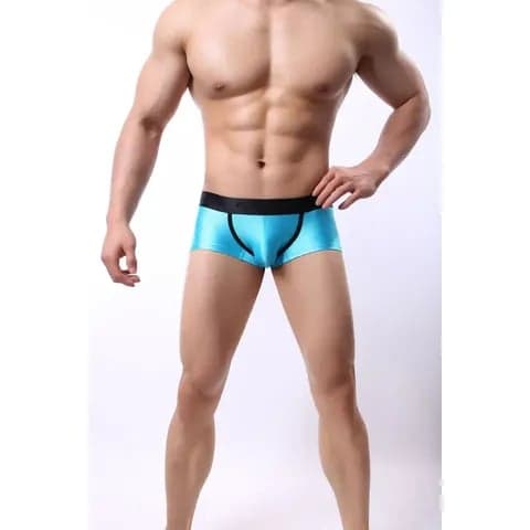 Customize Shiny Fabric Low Rise Shorts Factory Direct Sale Men's Nylon Boxer Briefs Underwear
