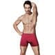 Men's Men breathable spandex micro modal underwear plus size boxers briefs man