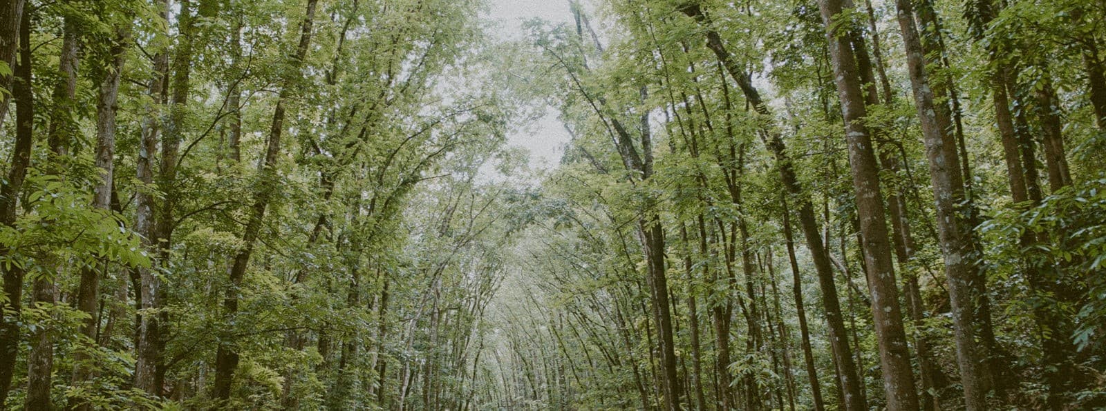 10 tips to Choose Modal as Underwear Fabric