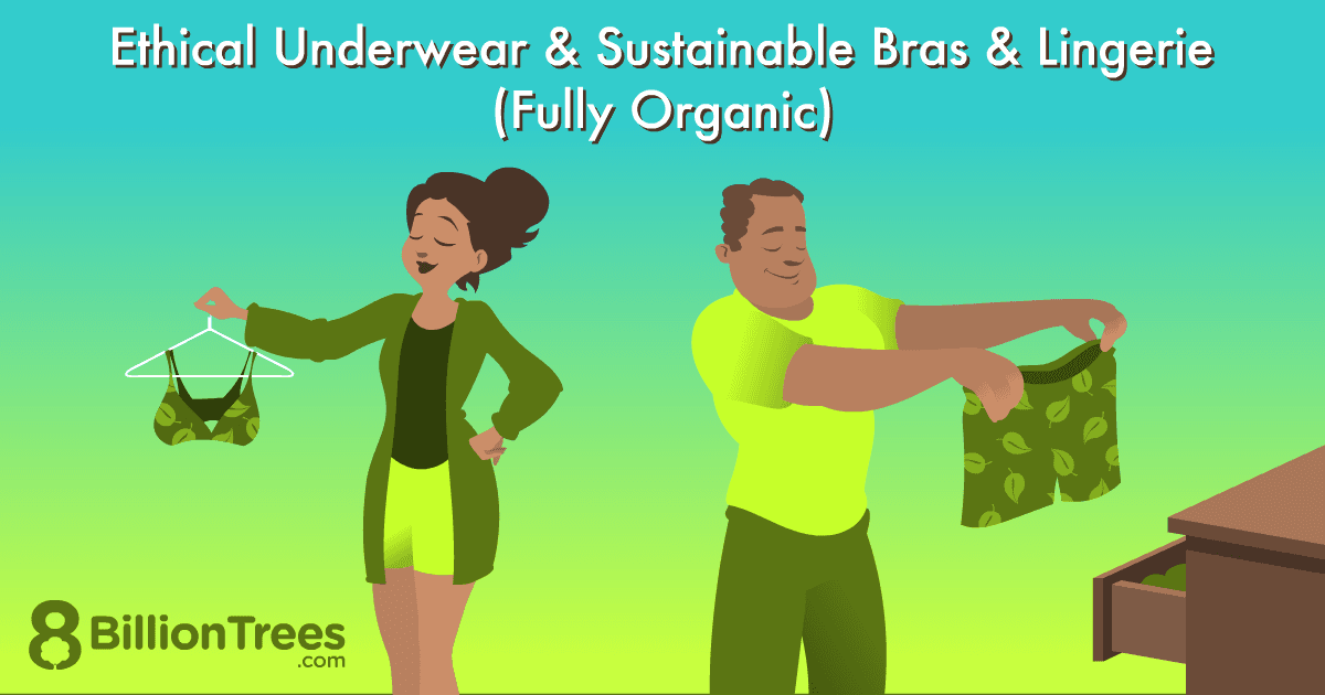 8 Insights on the Future of Men's Underwear in the US Market