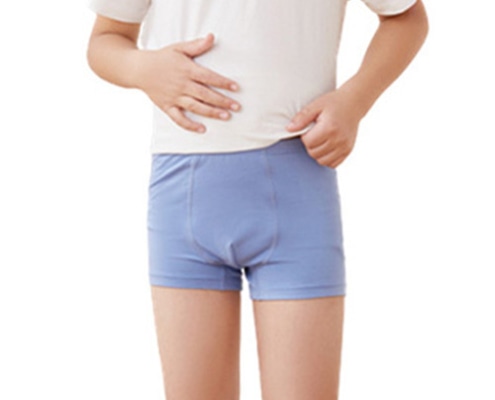 mens briefs - KUD01 Custom Wholesale Modal Children’S Underwear Wholesaler - 缩略图 3